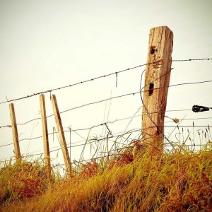 Wordfence Premium GPL